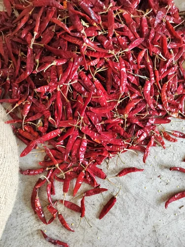 guntur-red-chilli-500x500.webp